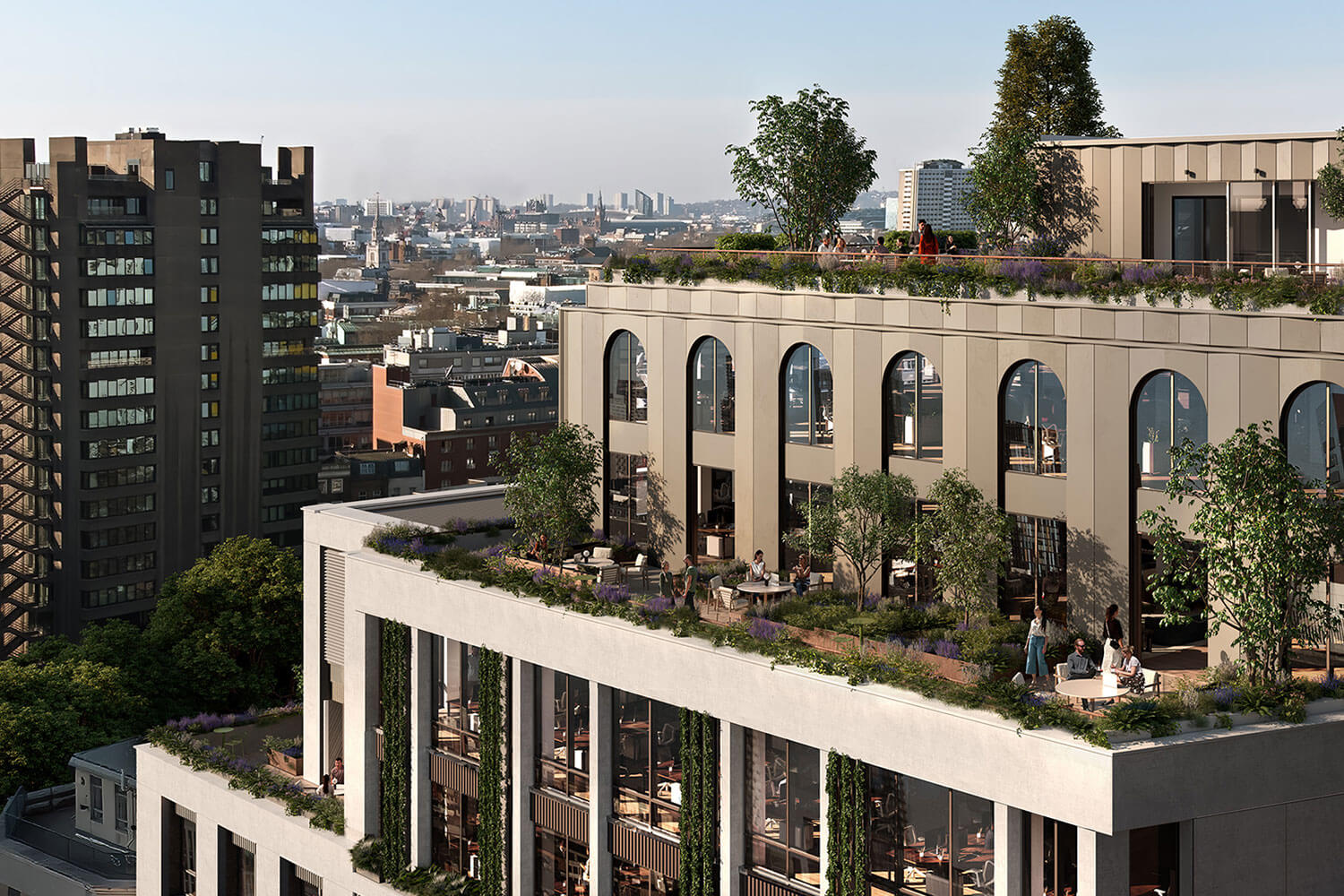 Hummingbird terrace